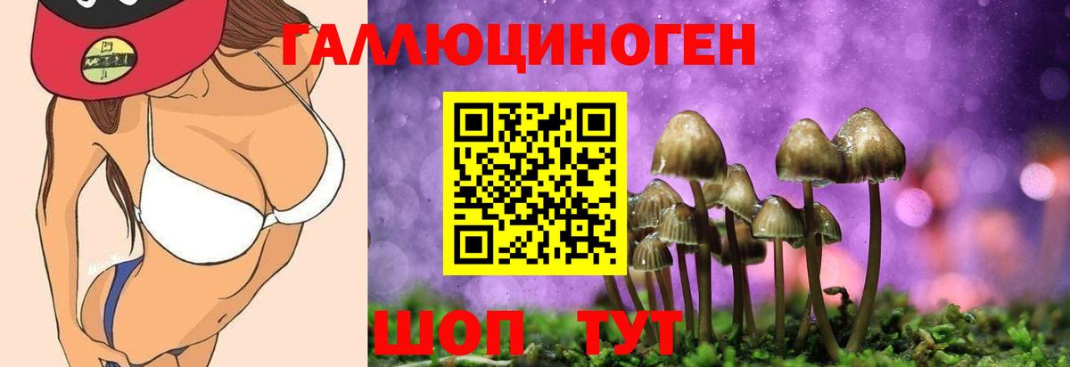 Галлюциногенные грибы Psilocybe  Вход с VPN  магазин  наркотиков  Семёнов 