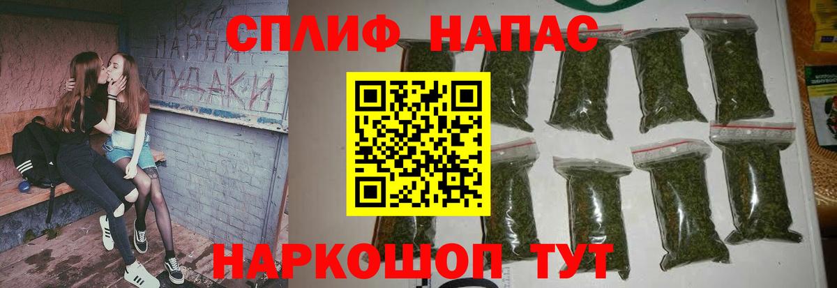 Канабис ГИДРОПОН Семёнов